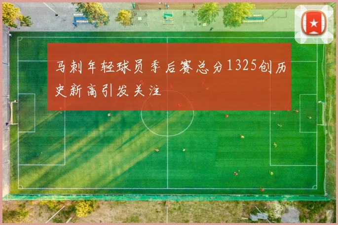 马刺年轻球员季后赛总分1325创历史新高引发关注